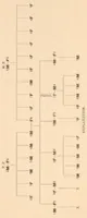An illustration from Contributions to the general etiology and pathology of the insane (1896)