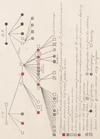 An illustration from Contributions to the general etiology and pathology of the insane (1896)