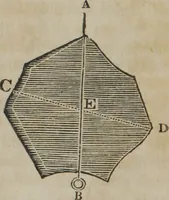 An illustration from Philosophical instructor, or, Webster's elements of natural philosophy : subdivided into principles and illustrations ; intended for academies, medical schools, and the popular class-room (1824)