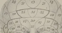 An illustration from Phrenology, or, The doctrine of the mental phenomena (Volume 1) (1833)