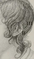An illustration from Phrenology, or, The doctrine of the mental phenomena (Volume 1) (1833)