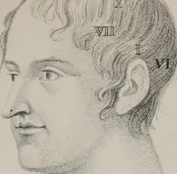 An illustration from Phrenology, or, The doctrine of the mental phenomena (Volume 1) (1833)