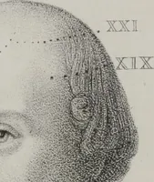 An illustration from Phrenology, or, The doctrine of the mental phenomena (Volume 1) (1833)