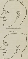 An illustration from Elements of phrenology (1845)