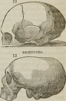 Picture 29 of 44 from Elements of phrenology (1845), leaf 117