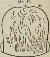 Picture 32 of 44 from Elements of phrenology (1845), leaf 123