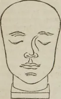 An illustration from Elements of phrenology (1845)