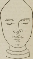 An illustration from Elements of phrenology (1845)