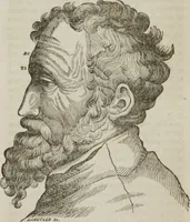 An illustration from Elements of phrenology (1845)