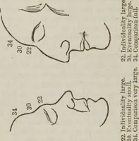 An illustration from Elements of phrenology (1845)