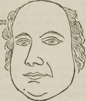 An illustration from Elements of phrenology (1845)