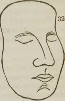 Picture 41 of 44 from Elements of phrenology (1845), leaf 161