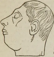 An illustration from Elements of phrenology (1845)
