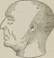 An illustration from Elements of phrenology (1845)