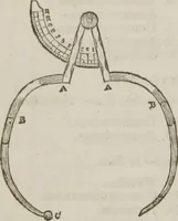 Picture 44 of 44 from Elements of phrenology (1845), leaf 253