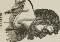 An illustration from Elements of phrenology (1845)
