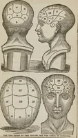 An illustration from Elements of phrenology (1845)