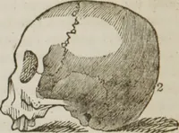 An illustration from Elements of phrenology (1845)