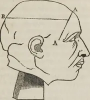 An illustration from A system of phrenology (1834)