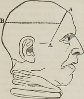 An illustration from A system of phrenology (1834)