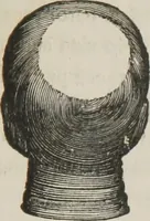 An illustration from A system of phrenology (1834)