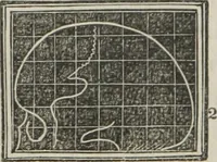 An illustration from A system of phrenology (1834)