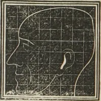 An illustration from A system of phrenology (1834)