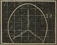An illustration from A system of phrenology (1834)