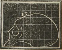 An illustration from A system of phrenology (1834)