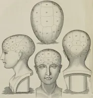 An illustration from A system of phrenology (1834)