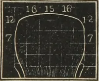 An illustration from A system of phrenology (1834)