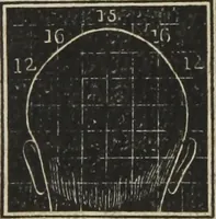 An illustration from A system of phrenology (1834)