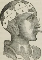 An illustration from A system of phrenology (1834)