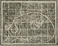An illustration from A system of phrenology (1834)