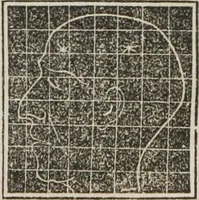 An illustration from A system of phrenology (1834)