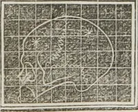An illustration from A system of phrenology (1834)