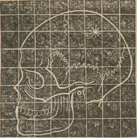 An illustration from A system of phrenology (1834)