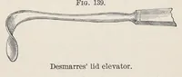 Picture 10 of 13 from Diseases of the eye (1900), leaf 405