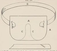 An illustration from Diseases of the eye (1900)