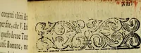 An illustration from Espositione della carta topografica cingolana dell'agro romano: con la eruditione antica, e moderna ... (1696)