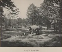 Picture 3 of 65 from Art work of Atlanta, Georgia : published in nine parts (1903), leaf 11