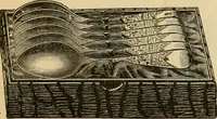 Picture 337 of 1332 from 13th annual illustrated catalog, 1889 ... containing illustrations and prices of a few leading and staple styles of diamonds, watches, jewelry, silverware, clocks, canes, umbrellas, opera glasses, gold spectacles, eye glasses, etc. (1889), leaf 134