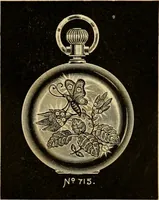Picture 599 of 1332 from 13th annual illustrated catalog, 1889 ... containing illustrations and prices of a few leading and staple styles of diamonds, watches, jewelry, silverware, clocks, canes, umbrellas, opera glasses, gold spectacles, eye glasses, etc. (1889), leaf 222