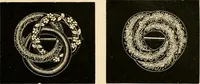 An illustration from 13th annual illustrated catalog, 1889 ... containing illustrations and prices of a few leading and staple styles of diamonds, watches, jewelry, silverware, clocks, canes, umbrellas, opera glasses, gold spectacles, eye glasses, etc. (1889)