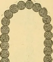 An illustration from 13th annual illustrated catalog, 1889 ... containing illustrations and prices of a few leading and staple styles of diamonds, watches, jewelry, silverware, clocks, canes, umbrellas, opera glasses, gold spectacles, eye glasses, etc. (1889)