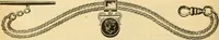 An illustration from 13th annual illustrated catalog, 1889 ... containing illustrations and prices of a few leading and staple styles of diamonds, watches, jewelry, silverware, clocks, canes, umbrellas, opera glasses, gold spectacles, eye glasses, etc. (1889)