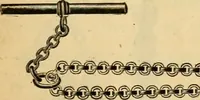 An illustration from 13th annual illustrated catalog, 1889 ... containing illustrations and prices of a few leading and staple styles of diamonds, watches, jewelry, silverware, clocks, canes, umbrellas, opera glasses, gold spectacles, eye glasses, etc. (1889)