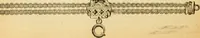 An illustration from 13th annual illustrated catalog, 1889 ... containing illustrations and prices of a few leading and staple styles of diamonds, watches, jewelry, silverware, clocks, canes, umbrellas, opera glasses, gold spectacles, eye glasses, etc. (1889)