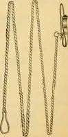 An illustration from 13th annual illustrated catalog, 1889 ... containing illustrations and prices of a few leading and staple styles of diamonds, watches, jewelry, silverware, clocks, canes, umbrellas, opera glasses, gold spectacles, eye glasses, etc. (1889)