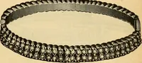 An illustration from 13th annual illustrated catalog, 1889 ... containing illustrations and prices of a few leading and staple styles of diamonds, watches, jewelry, silverware, clocks, canes, umbrellas, opera glasses, gold spectacles, eye glasses, etc. (1889)